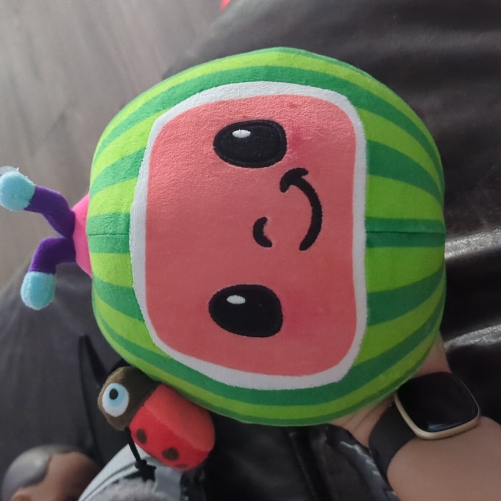 Coco melon plush